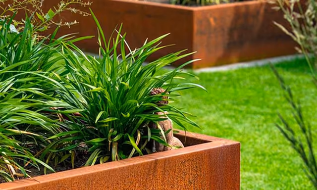 Détail végétal mis en avant sur le site de Ferrard Jardin optimisé SEO