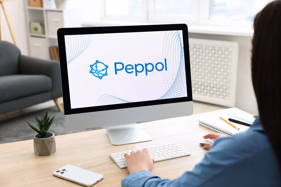 Écran du réseau Peppol sur poste de travail chez Qreative