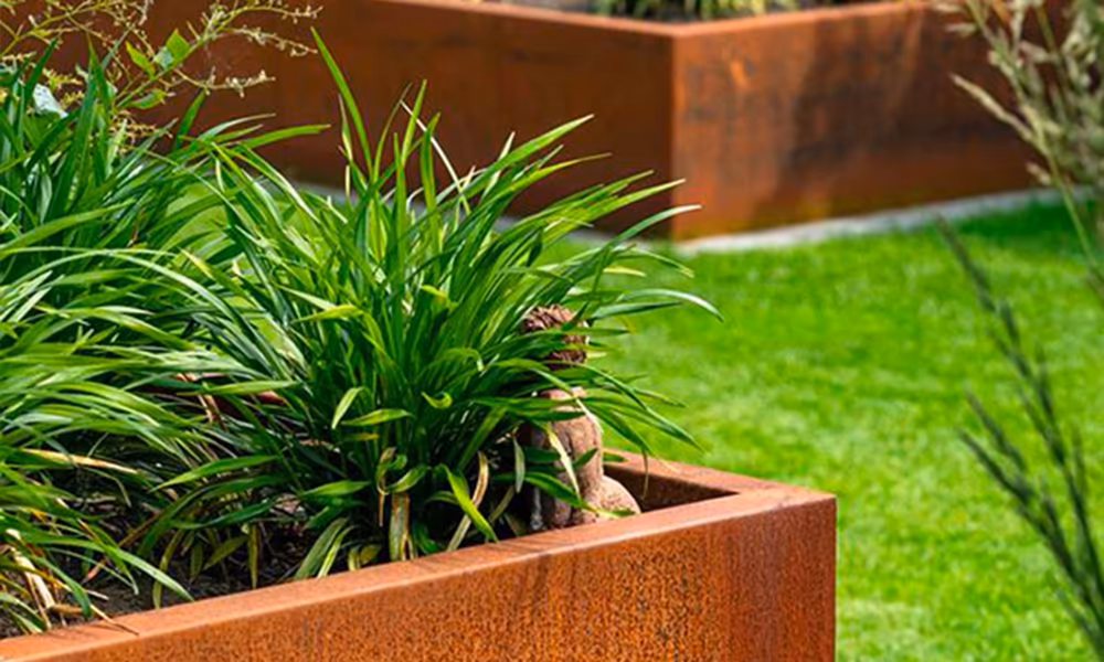Plant detail featured on Ferrard Jardin’s SEO-optimized website